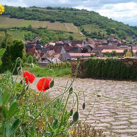 Auberge Du Cheval Blanc Depuis 1785 Westhalten Kültér fotó