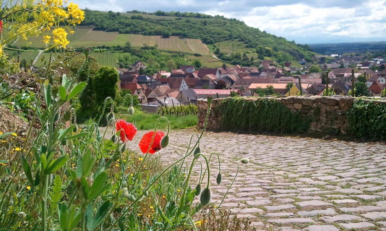 Auberge Du Cheval Blanc Depuis 1785 Westhalten Kültér fotó