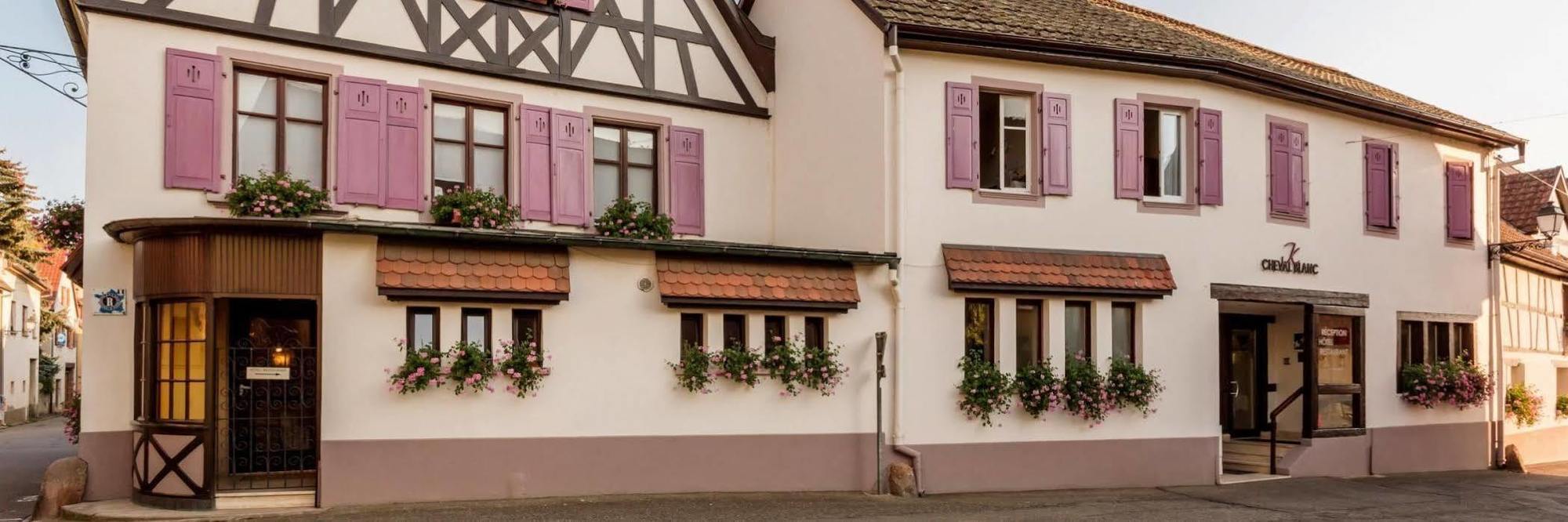 Auberge Du Cheval Blanc Depuis 1785 Westhalten Kültér fotó